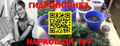 ECSTASY Мариинск