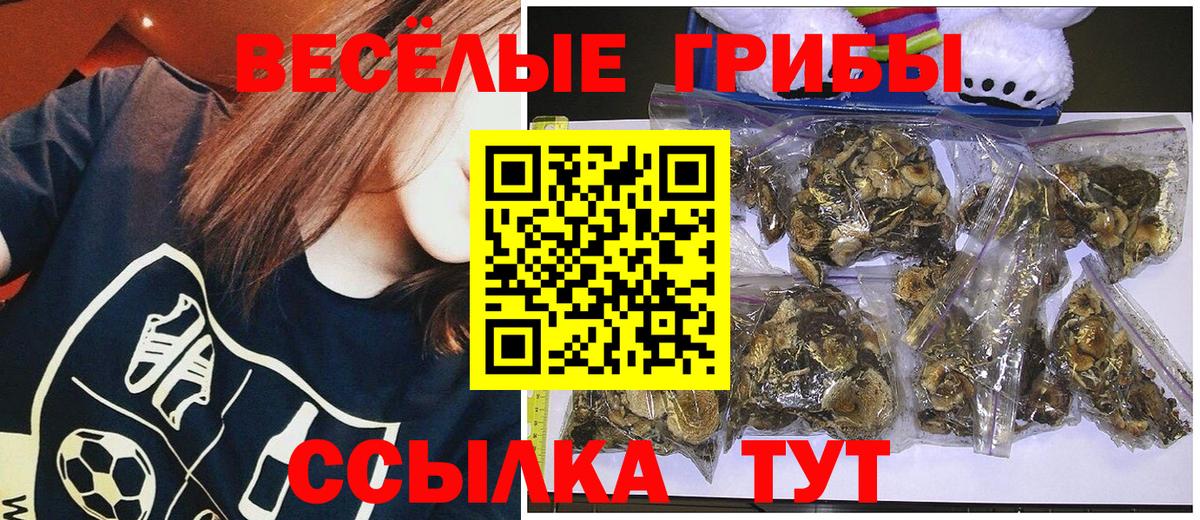 Галлюциногенные грибы Psilocybe Фурманов