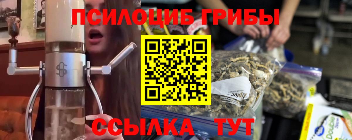 Галлюциногенные грибы Psilocybine cubensis  Вход с VPN  Фурманов 